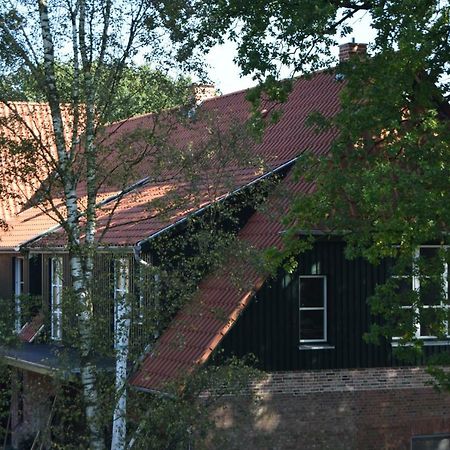 Ferien Hohes Elbufer Hotel Schnakenbek ภายนอก รูปภาพ